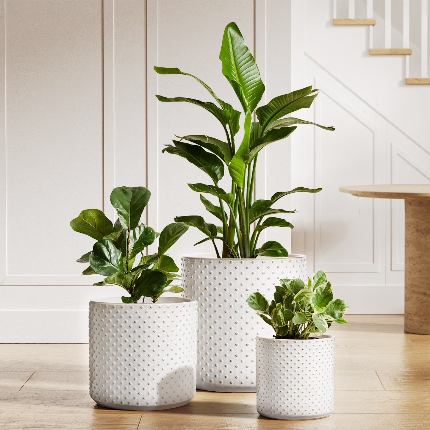 Set of 3 White Plant Pots with Drainage Holes & Plugs
