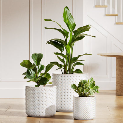 Set of 3 White Plant Pots with Drainage Holes & Plugs