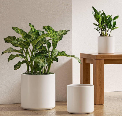 Set of 3 White Plant Pots with Drainage Holes & Plugs