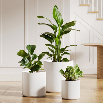Set of 3 White Plant Pots with Drainage Holes & Plugs